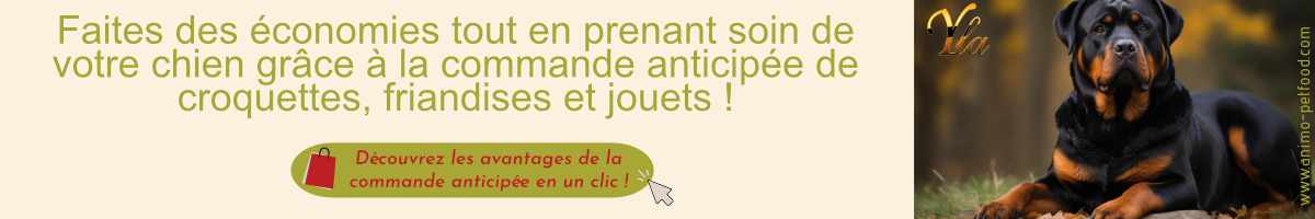 chien-croquettes-friandises-jouets-promo